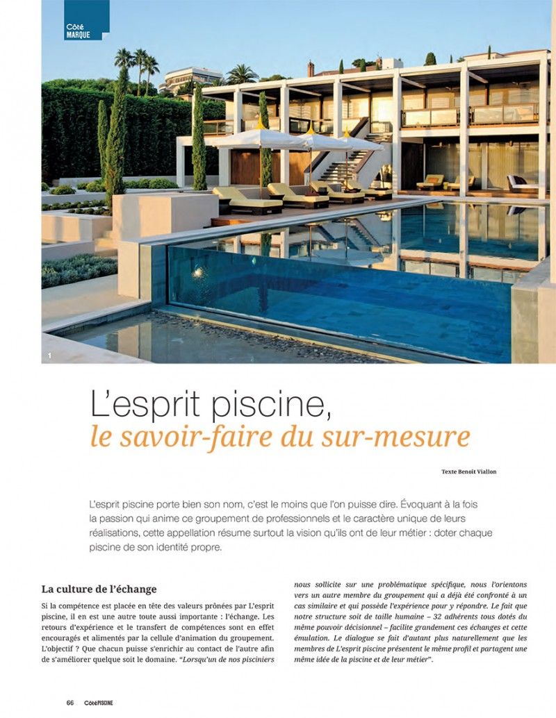 / Piscine : le savoir-faire du sur-mesure : piscine sur mesure photo